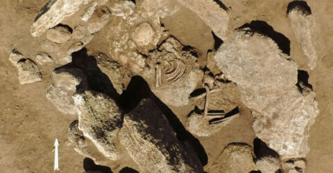 Exposition Archéologie en douessin